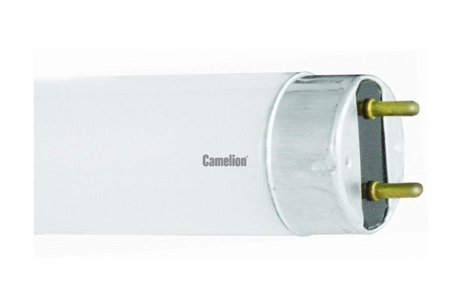  . 8 G13 15W 6500 CAMELION